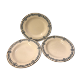 Assiettes Terre de fer