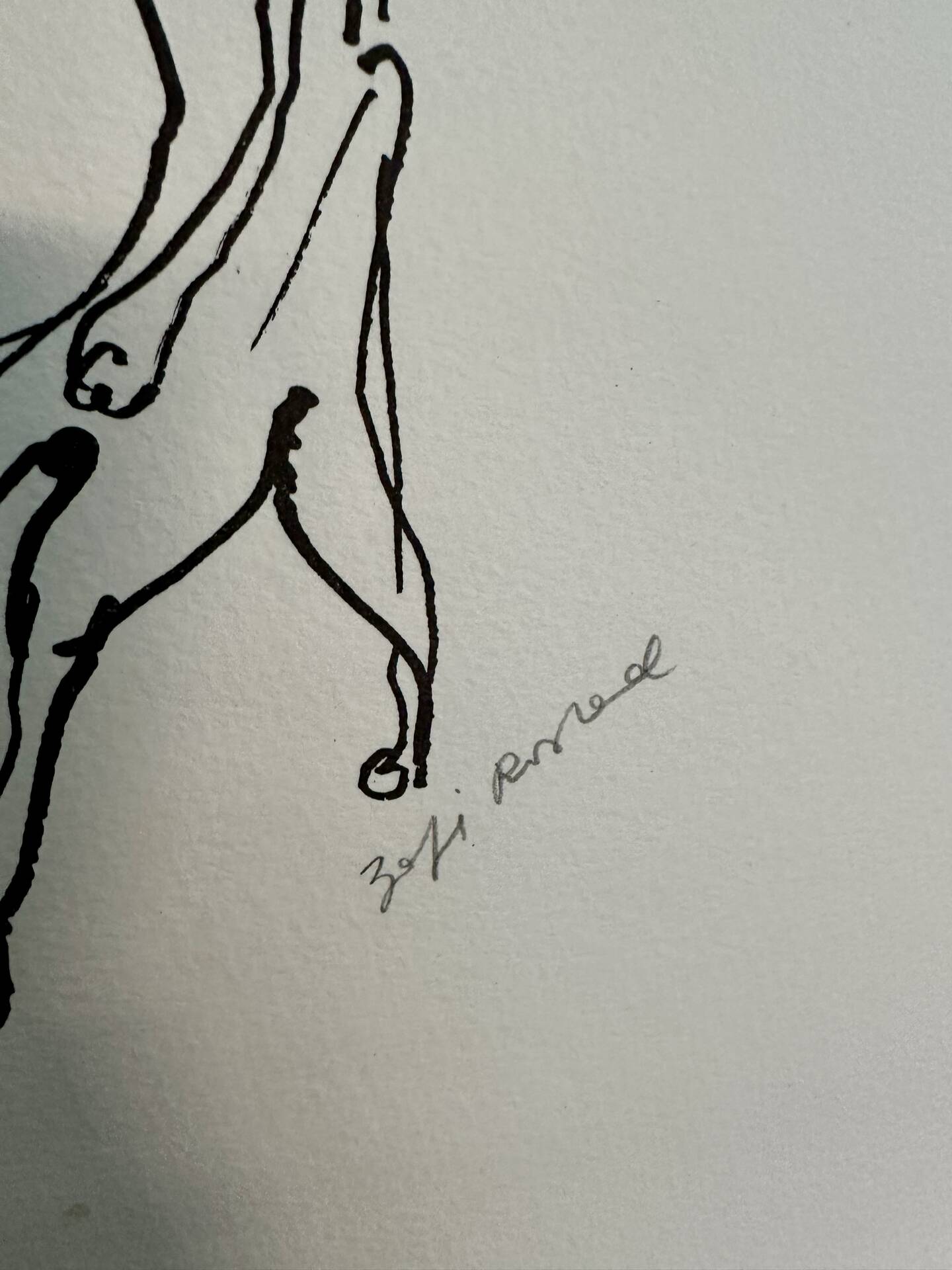 Print, original lithograph by Zofia Rostad