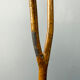 Sculptural coat rack, hat stand, Art Deco, France, 1930s