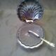 Scallop shell butter dish