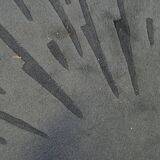 Khaki parasol carpet