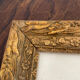 Botanical poster, Prunus Domestica, framed in glass wood.