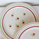 5 flat plates of Gien model Marie Laure 220536