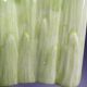 Asparagus dish in bubble