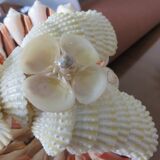 Shell tidy from the 70s