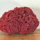 Red coral