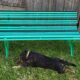 Old garden bench