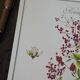 Henna, printed illustration from 1986. Vintage Botany. 24X31cm