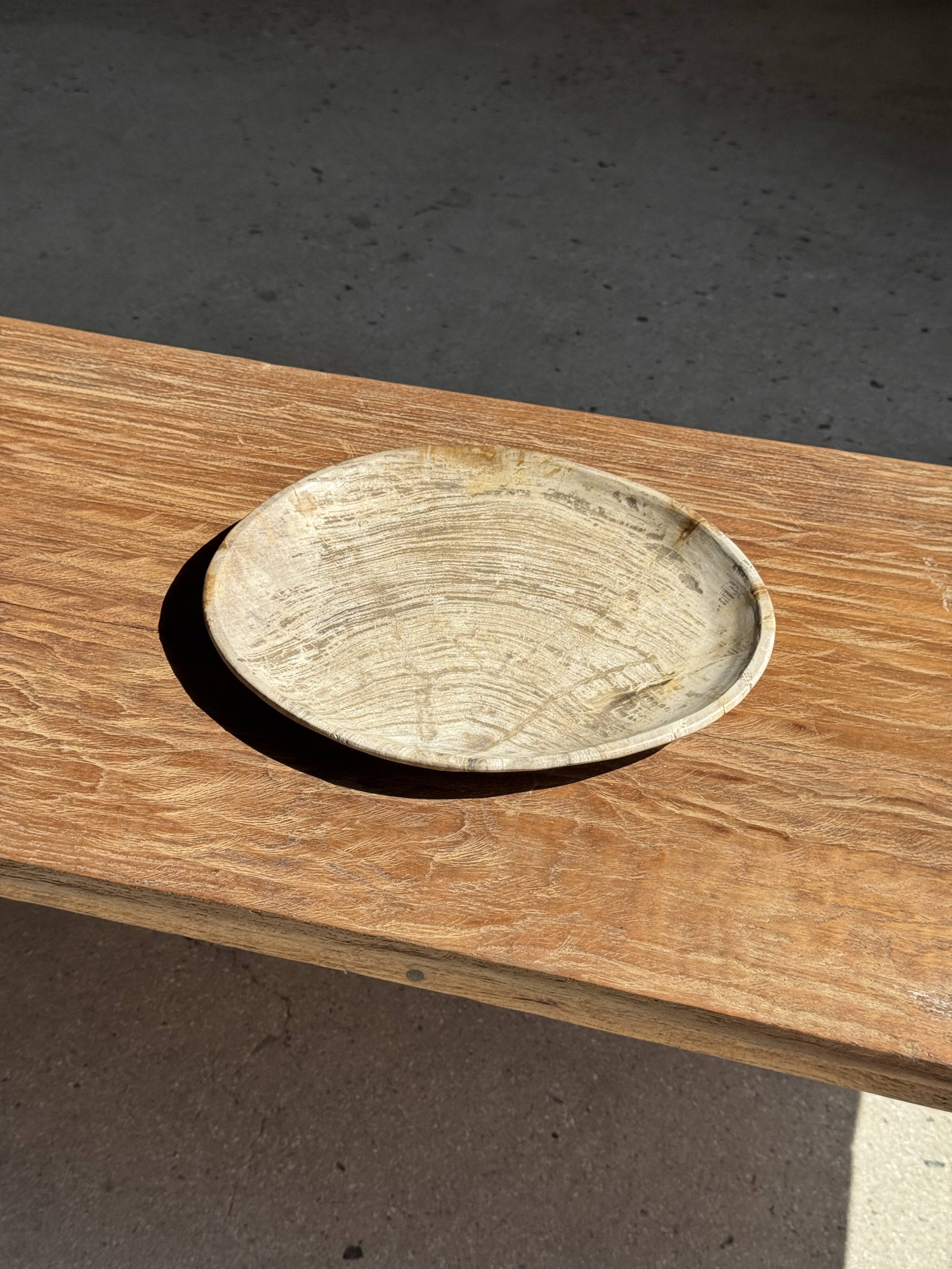 Petrified wood catchall or dish in light grey with rings D27x25 -3320