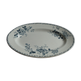 Dish