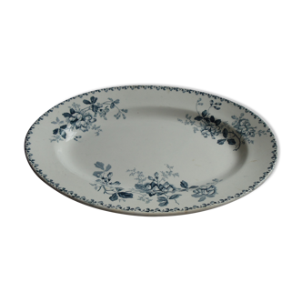 Dish