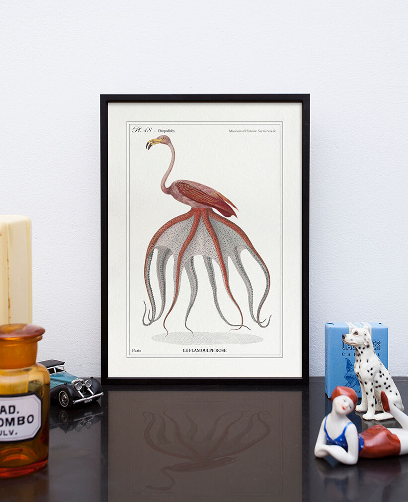 Chimera lithograph animal engraving - the pink flamoulpe