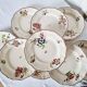 9 Terre de Fer Sarreguemines Flat Plates Rare Model from the Strasbourg Series
