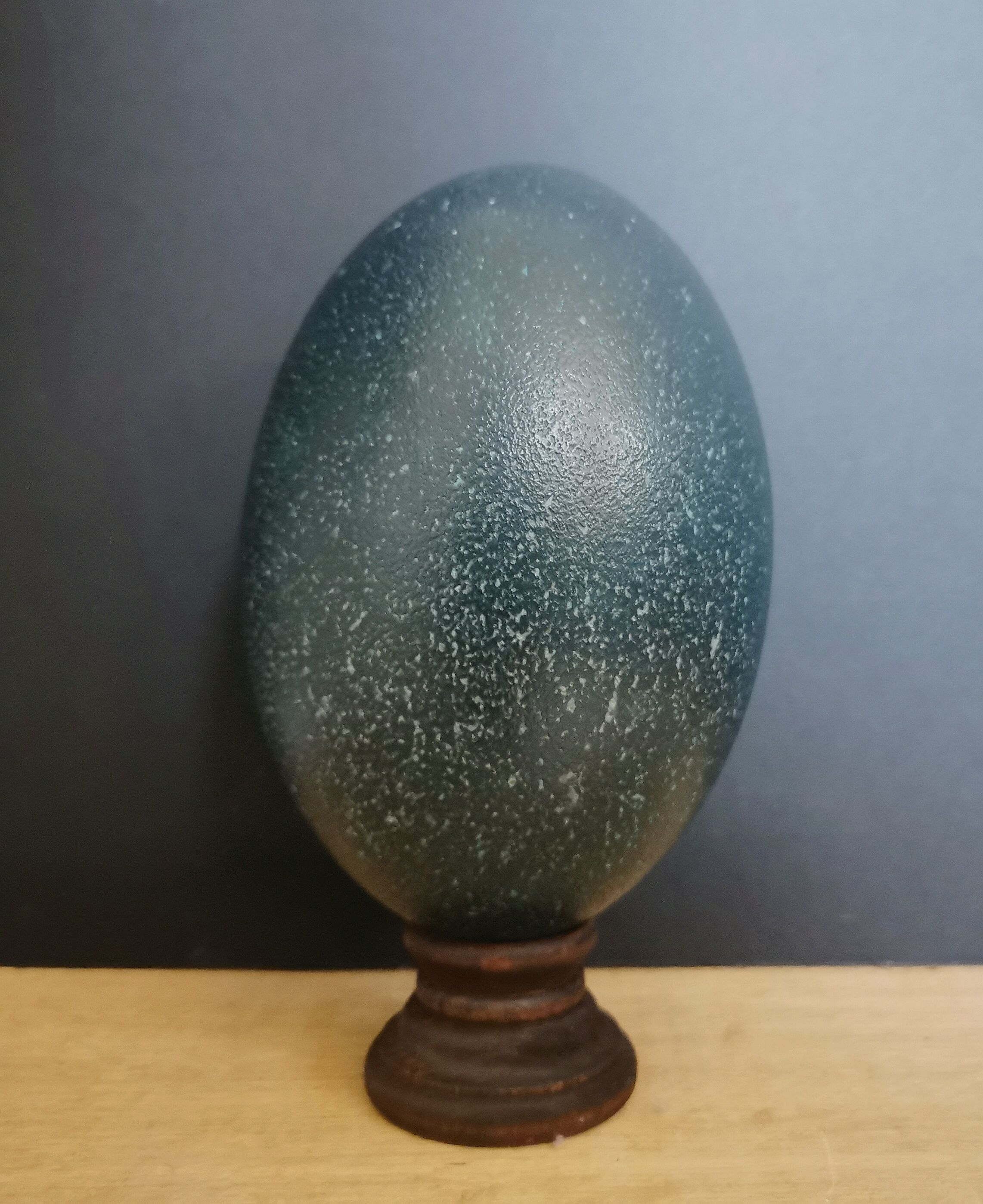 Emu egg naturally green / blue on dark wood bases