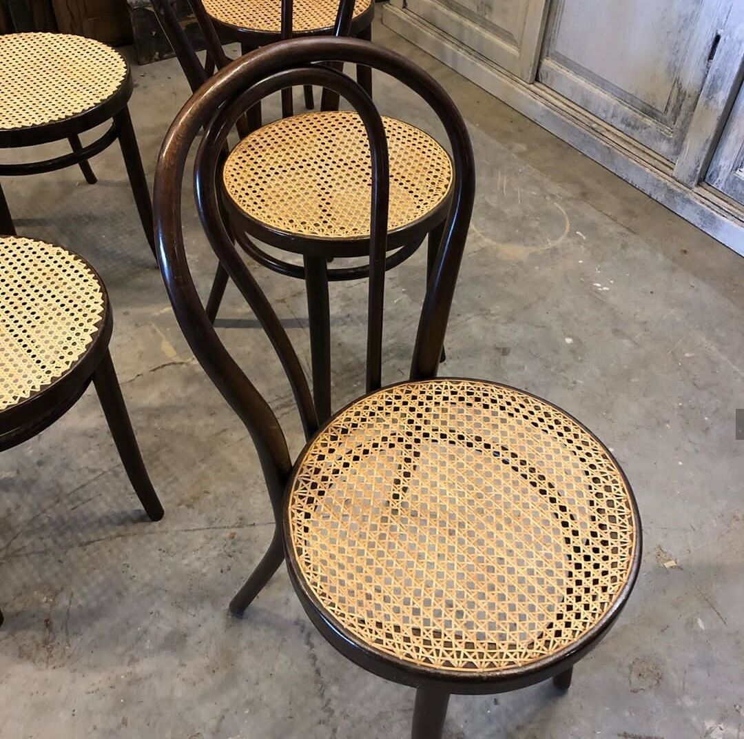 6 Thonet bistro chairs