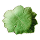 Vine slip plate