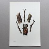 Antique illustration "insects", Vintage print, Cochineal, 1960s