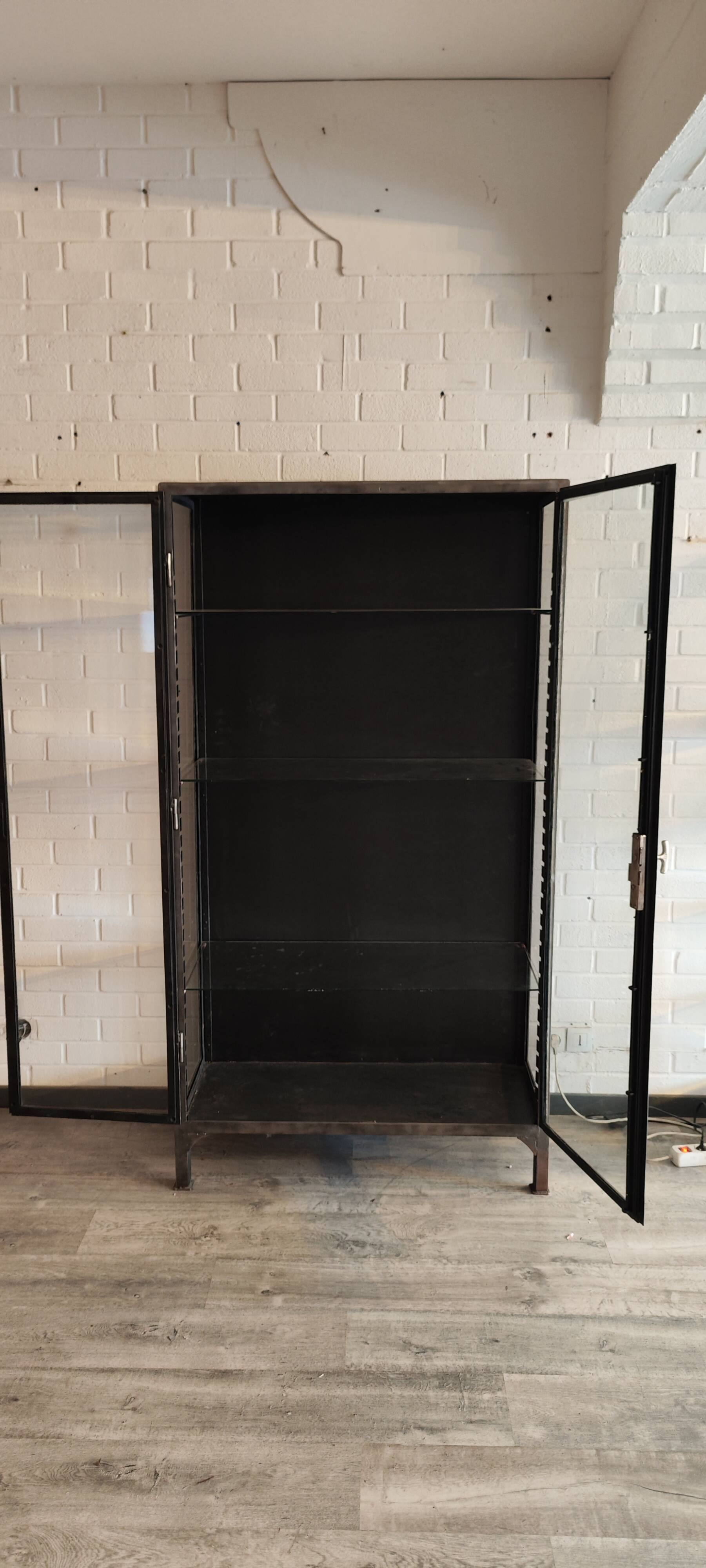 Vintage two-door metal medical display case