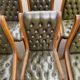 6 chaises anglaises Chesterfield XXème cuir vert olive