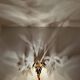 Gilded Italian Hollywood Regency Palm Tree Table Lamp by Hans Kögl
