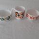 3 pieces lotus Arcopal 2 ramekins cups and 1 mug orange brown green vintage