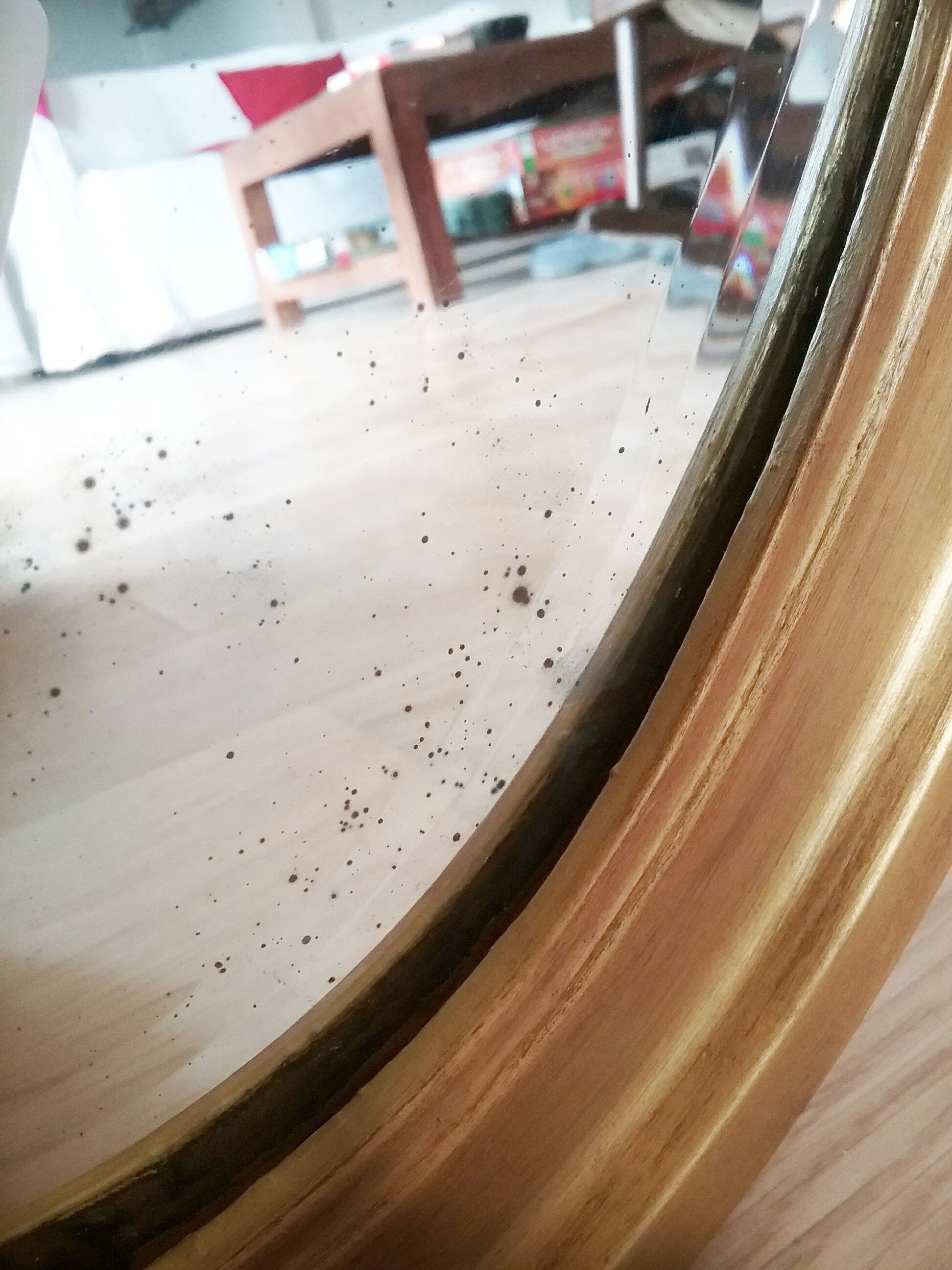 Classic gold mirror  42x69cm