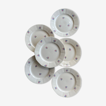 6 plates Sarreguemines Digoin