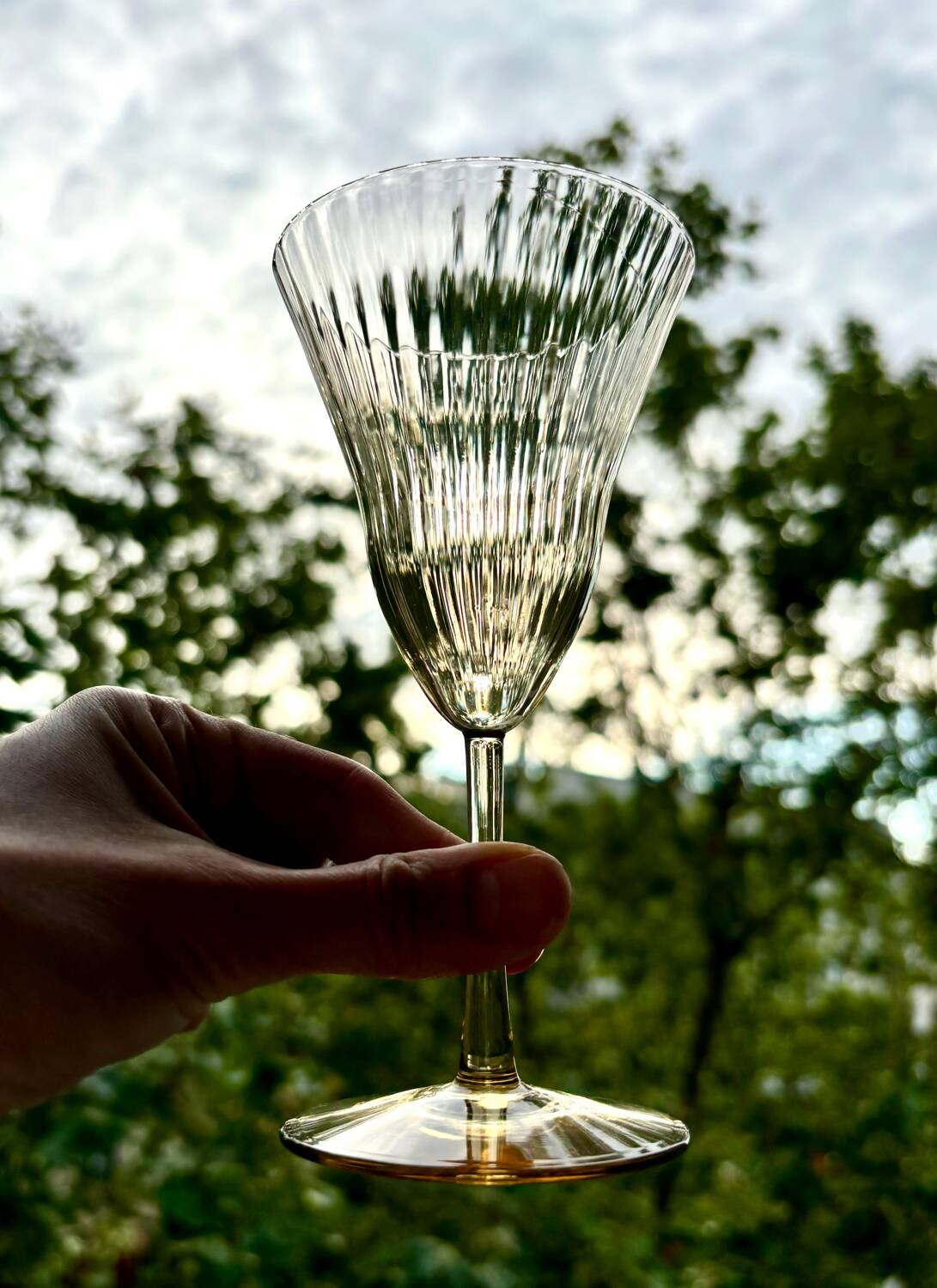 Verres style Gallée