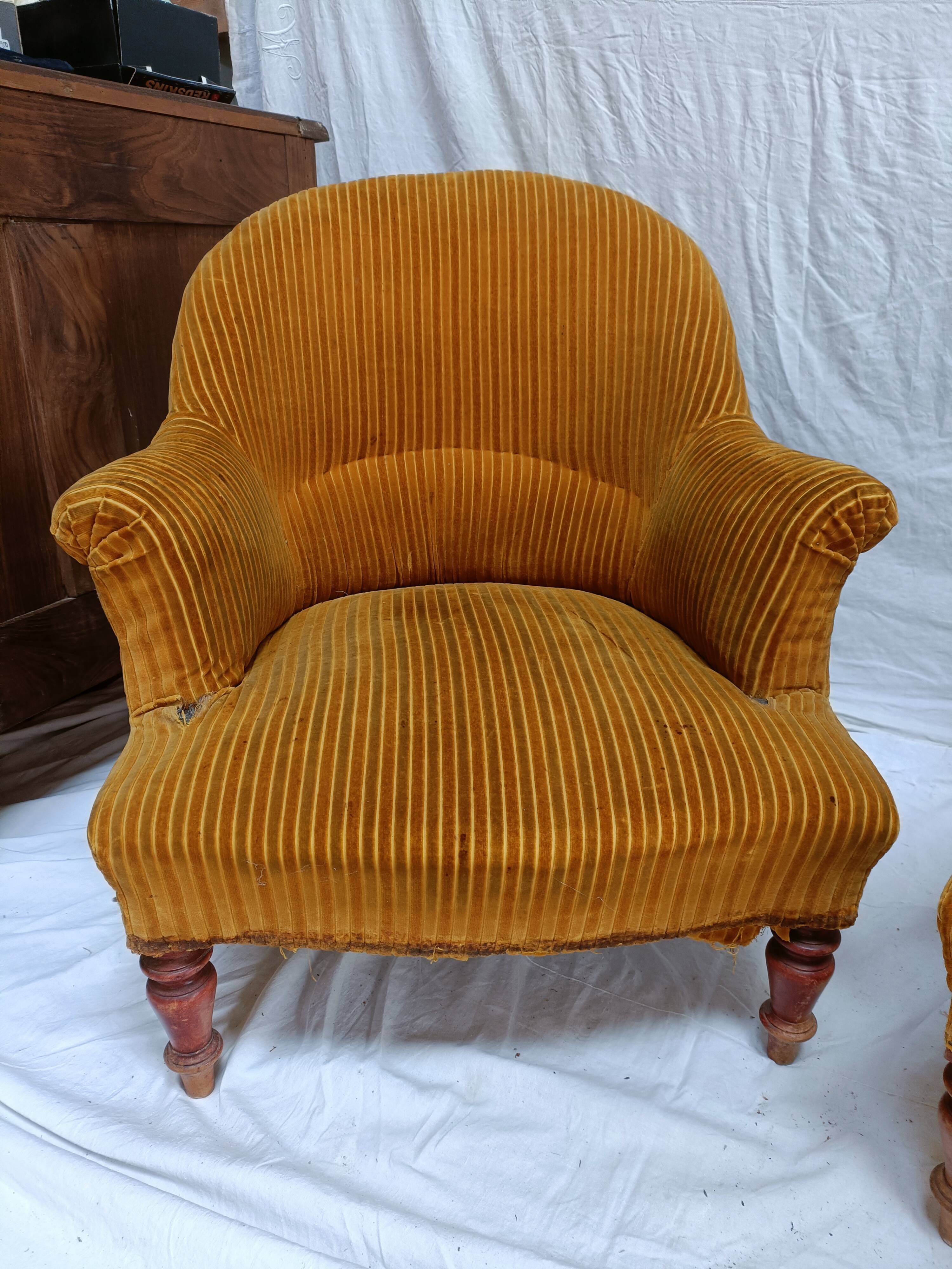 Pair of beech toad armchairs