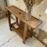 Established XS in cherry tree