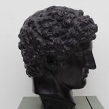 Greek head in waxed black plaster