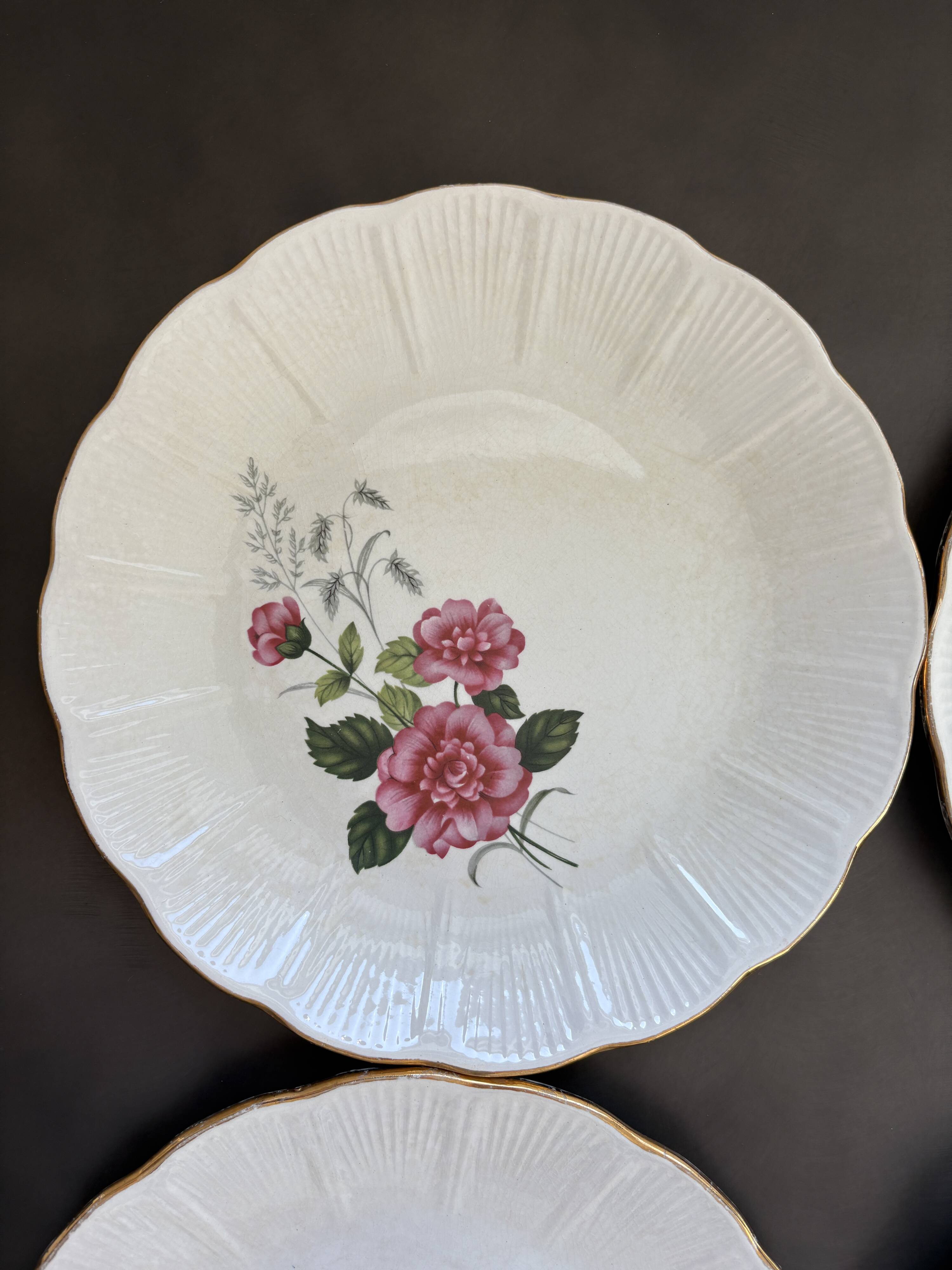 8 Amandinoise dinner plates