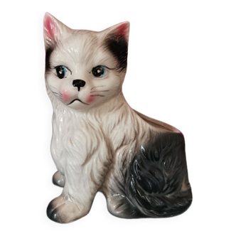 Cache pot chat
