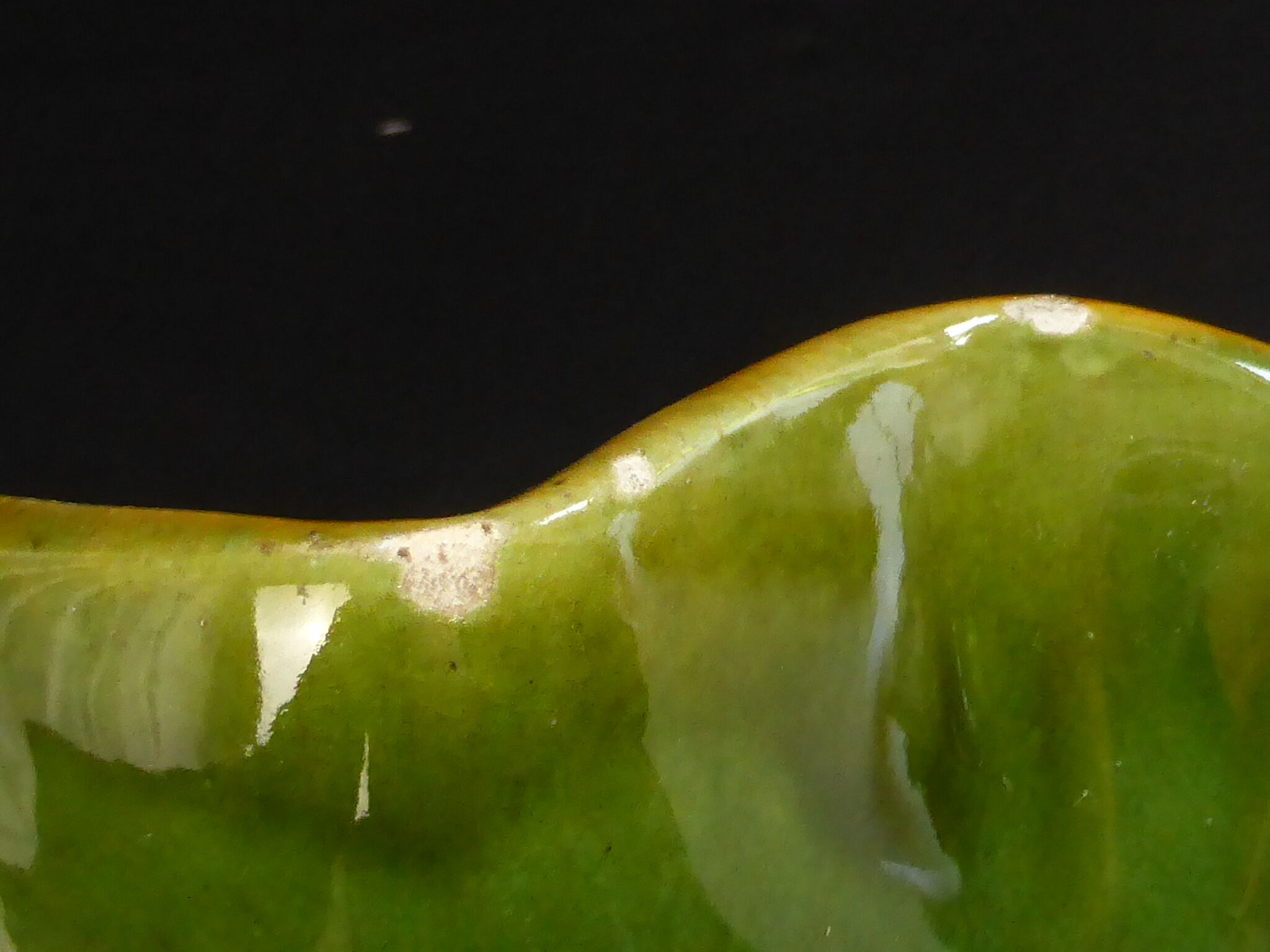 Ceramic cup forming a sheet-long.40cm