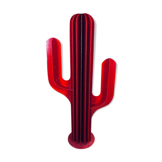 Cactus rouge
