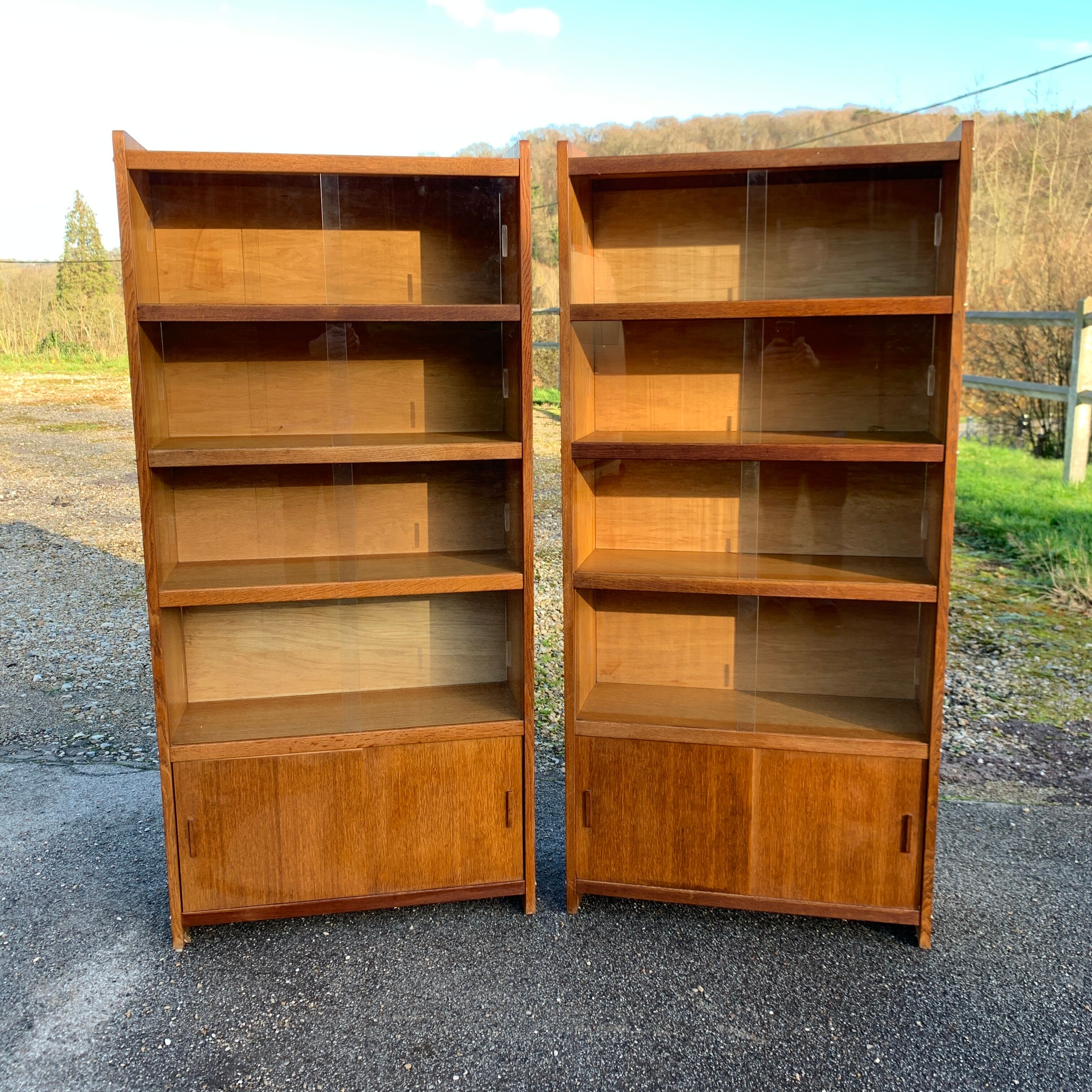Pair of vintage glass shelves libraries
