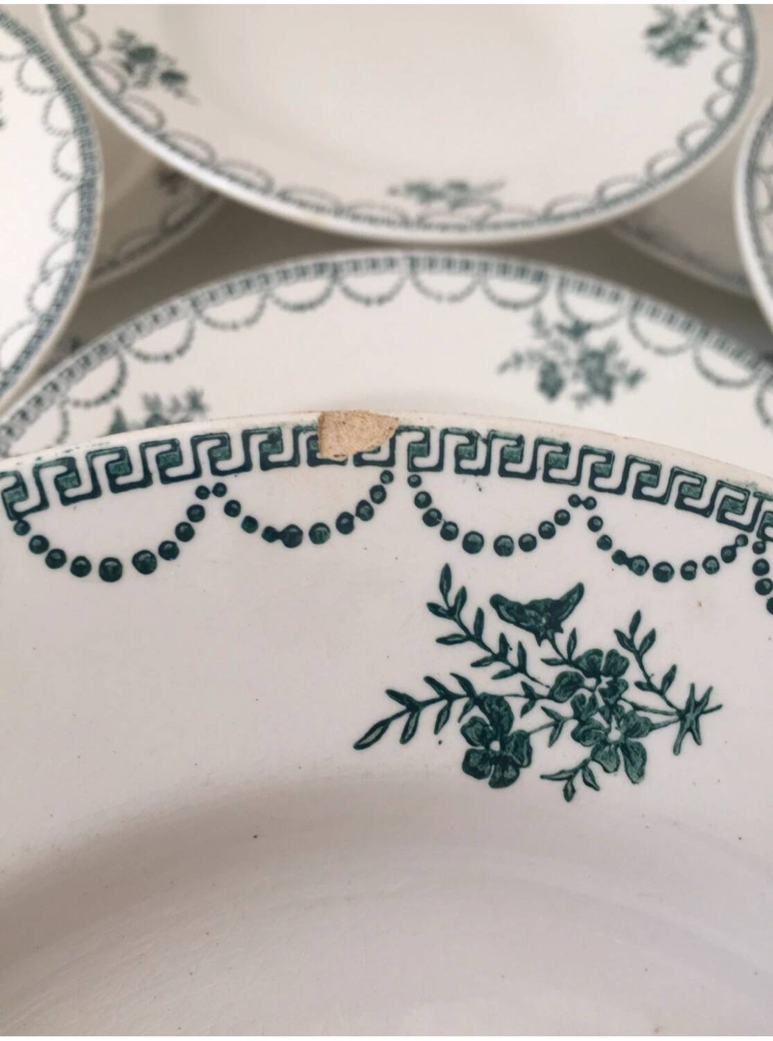 Ensemble de 9 assiettes Terre de fer fleurs vertes St Amand