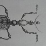Illustration insecte