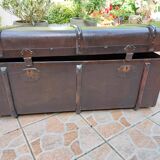 Trunk
