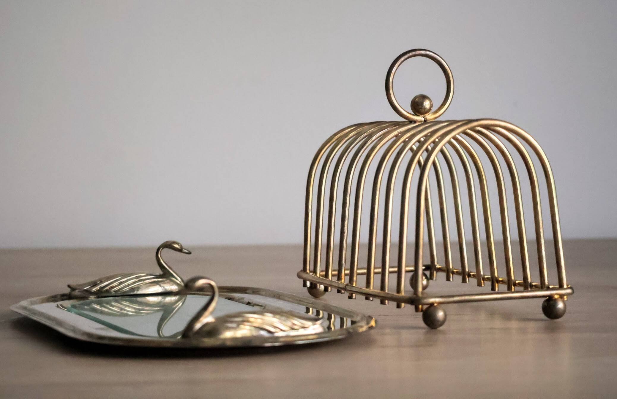 Foie gras presentation service dish in metal and glass and its toast holder