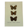 Botanical engraving butterflies double-sided naturalist plate Etching
