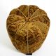 Original Pouf Stool by Jindrich Halabala from 1958 | Art Deco Bauhaus