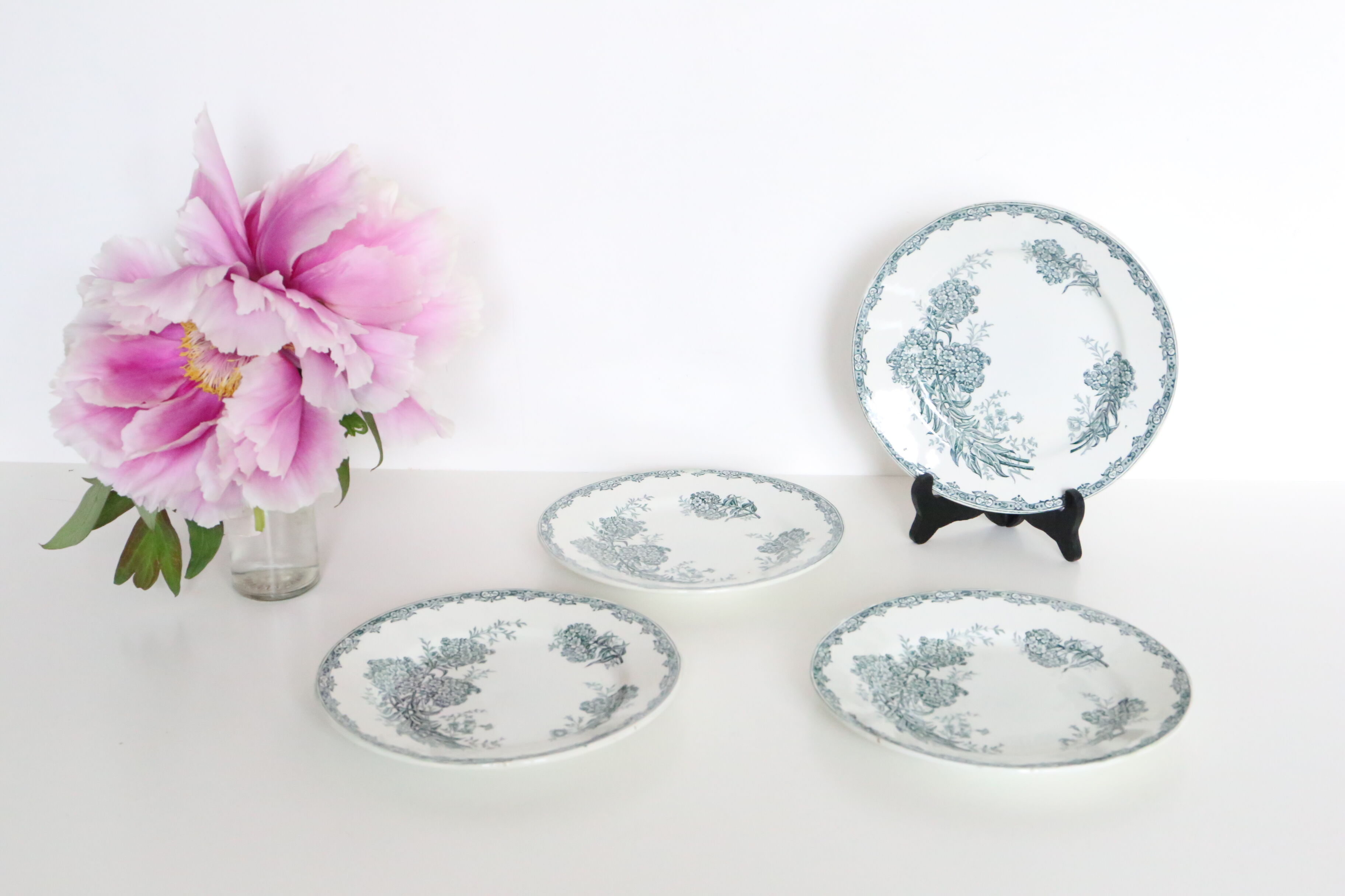 Set of 4 flat plates Terre de Fer, Saint Amand, Daisy