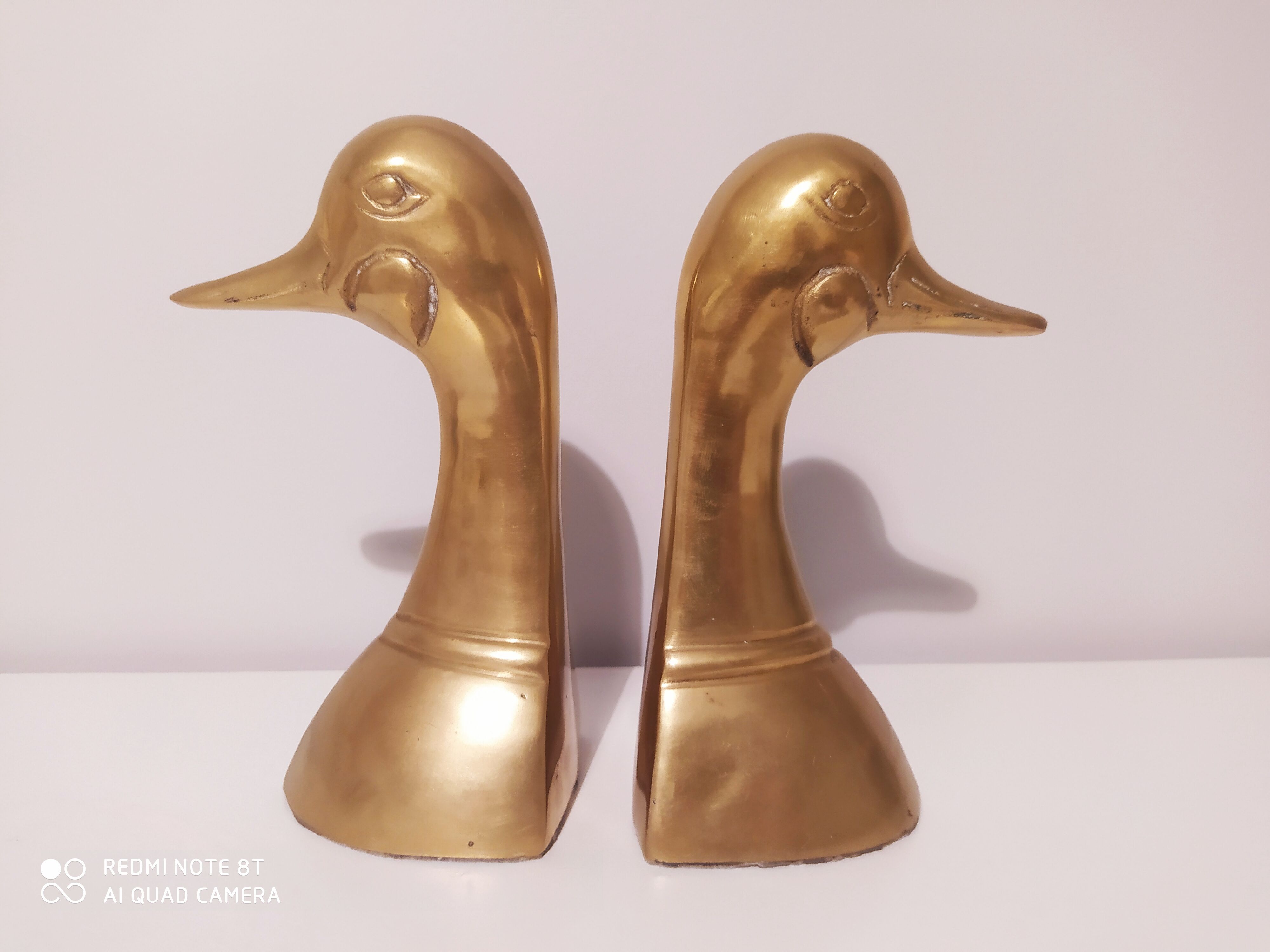 Pair of Greenhouse books duck in brass bronze