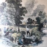 Set of 4 framed antique prints - 4 seasons