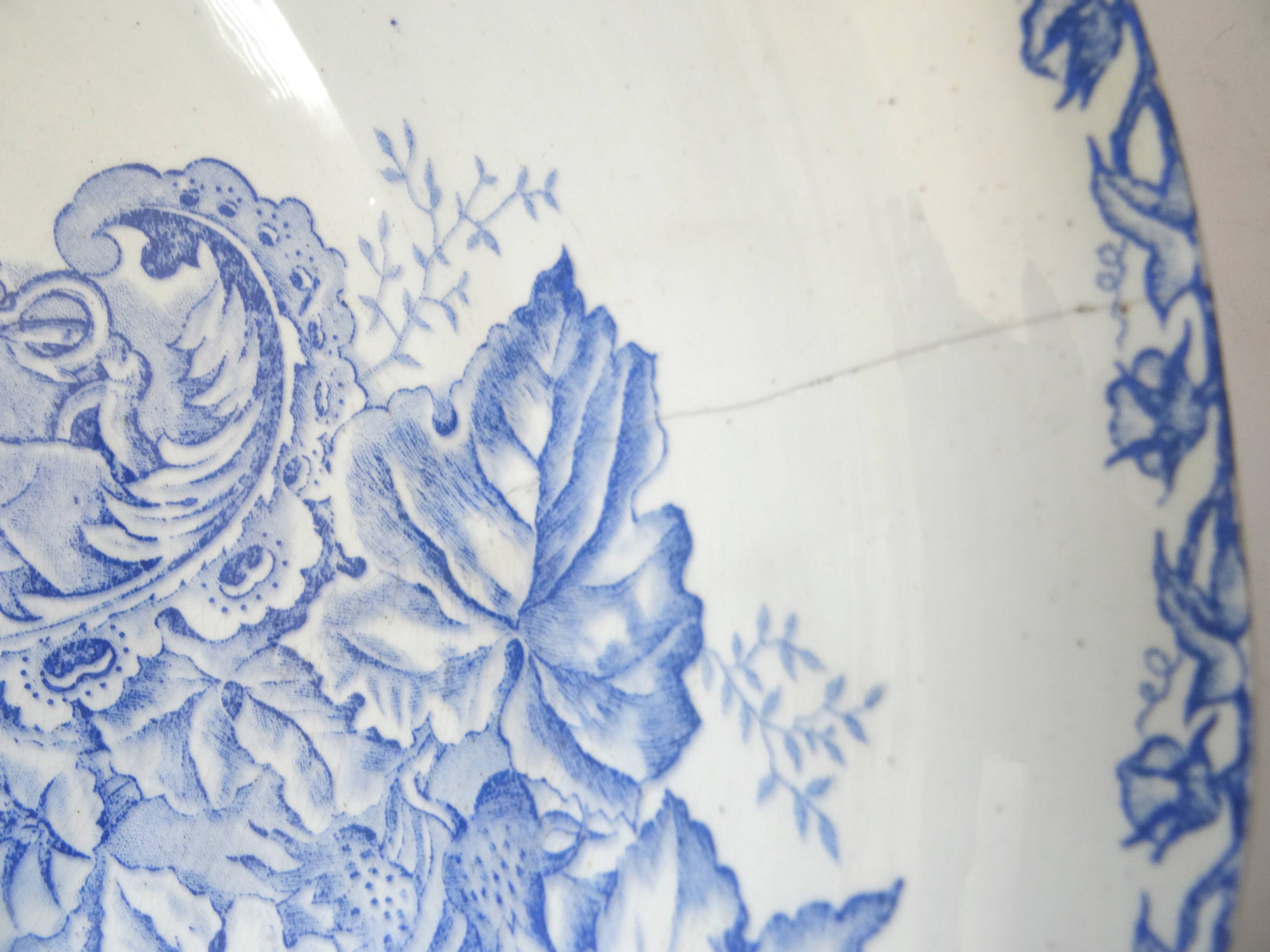 Large Salad Bowl St Amand Prétoria