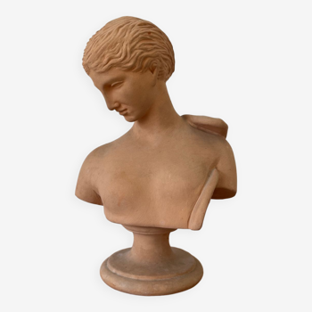 Terracotta bust Greek goddess