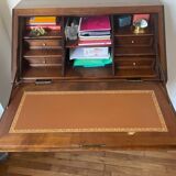 Secretary speed bump