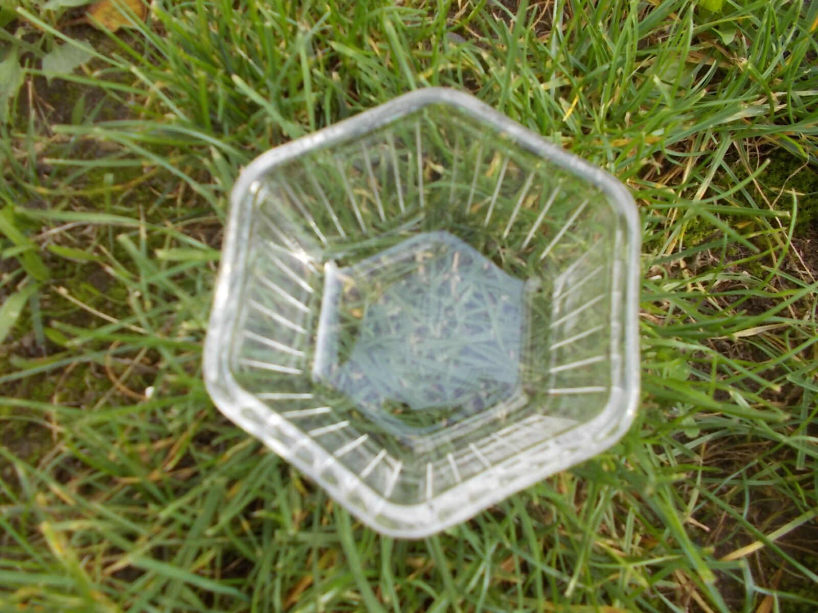 Set of 5 pyrex ramekins