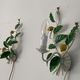 Pair of Italian metal lemon sconces, Firenze House, 1970